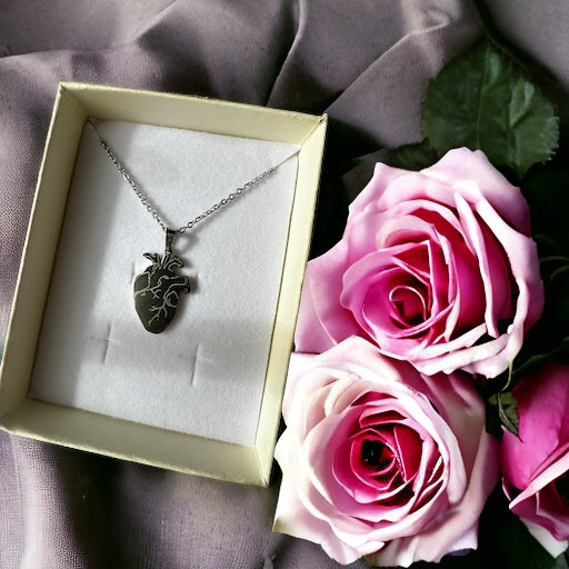 Anatomical Heart