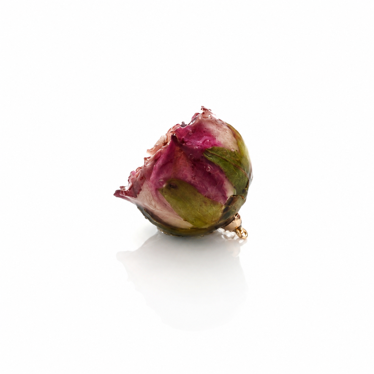 Bocciolo di Rosa Rosa/Fuxia
