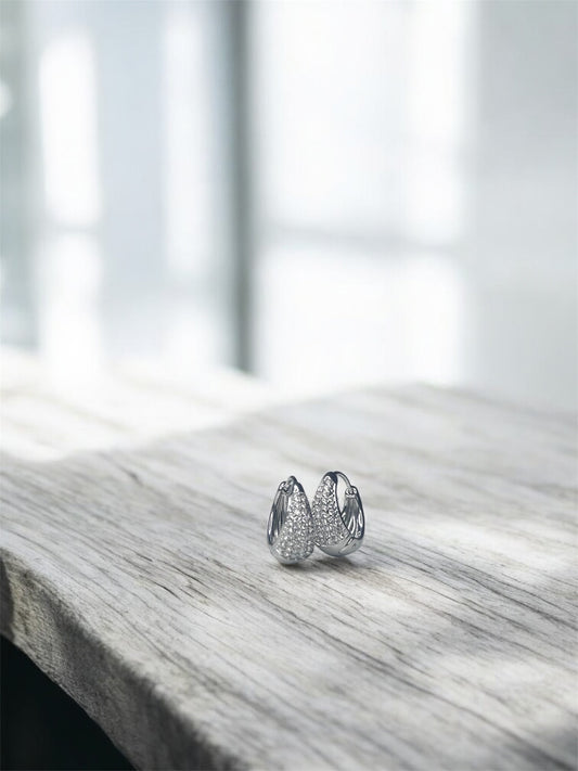 Orecchini Gleam Hoops