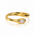 Anello Serpentia