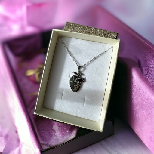 Cuore Anatomico