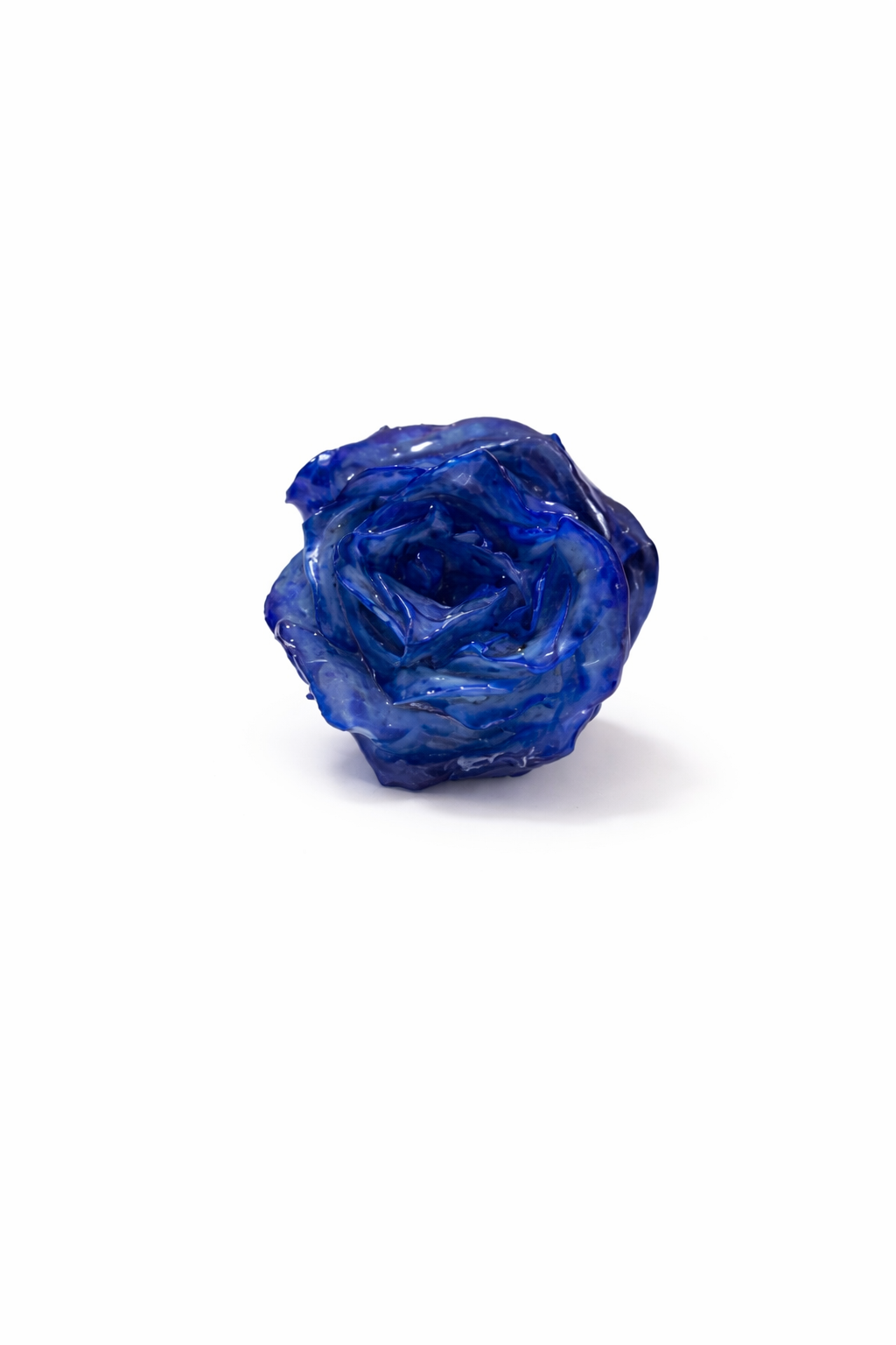 Bocciolo di Rosa Blu