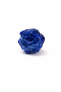 Bocciolo di Rosa Blu