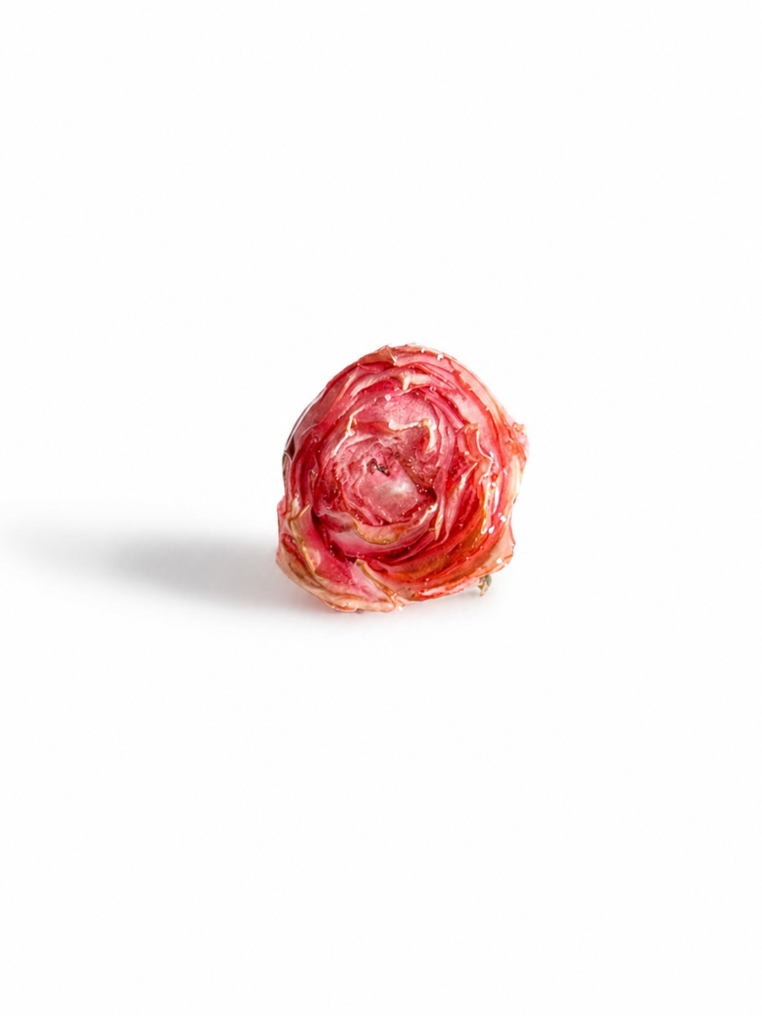 Bocciolo di Rosa (ROSA)