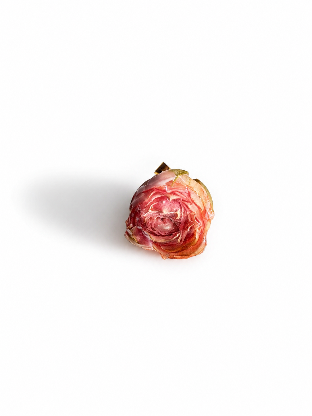 Bocciolo di Rosa (ROSA)