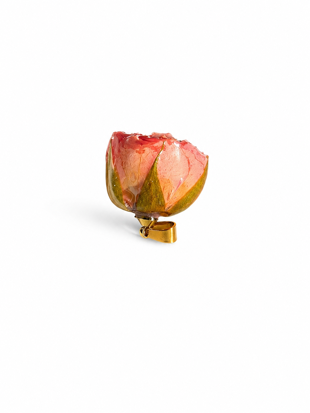 Bocciolo di Rosa (ROSA)