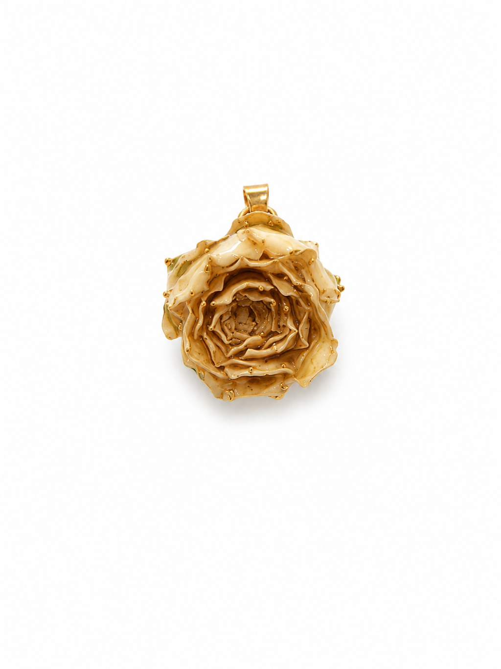 Bocciolo di Rosa Champagne